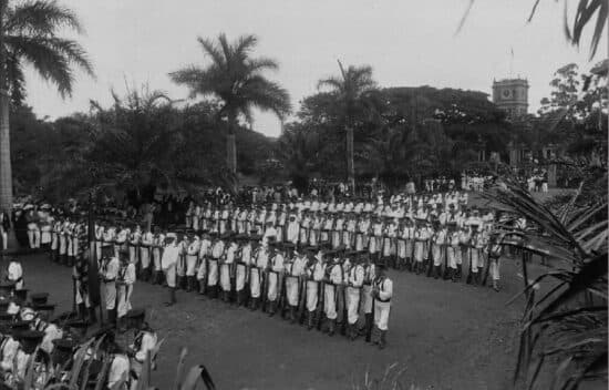 The photograph shows marines lined up in a clearing surrounded by palm trees.