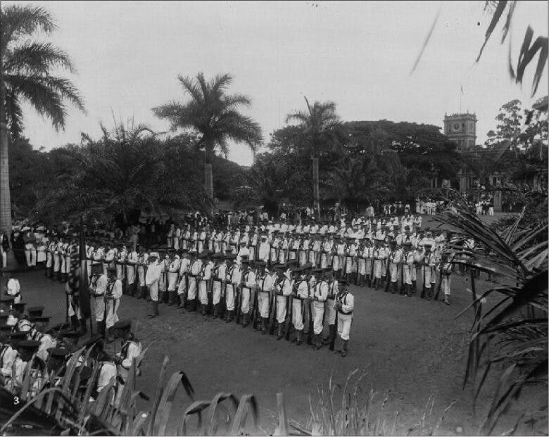 The photograph shows marines lined up in a clearing surrounded by palm trees.